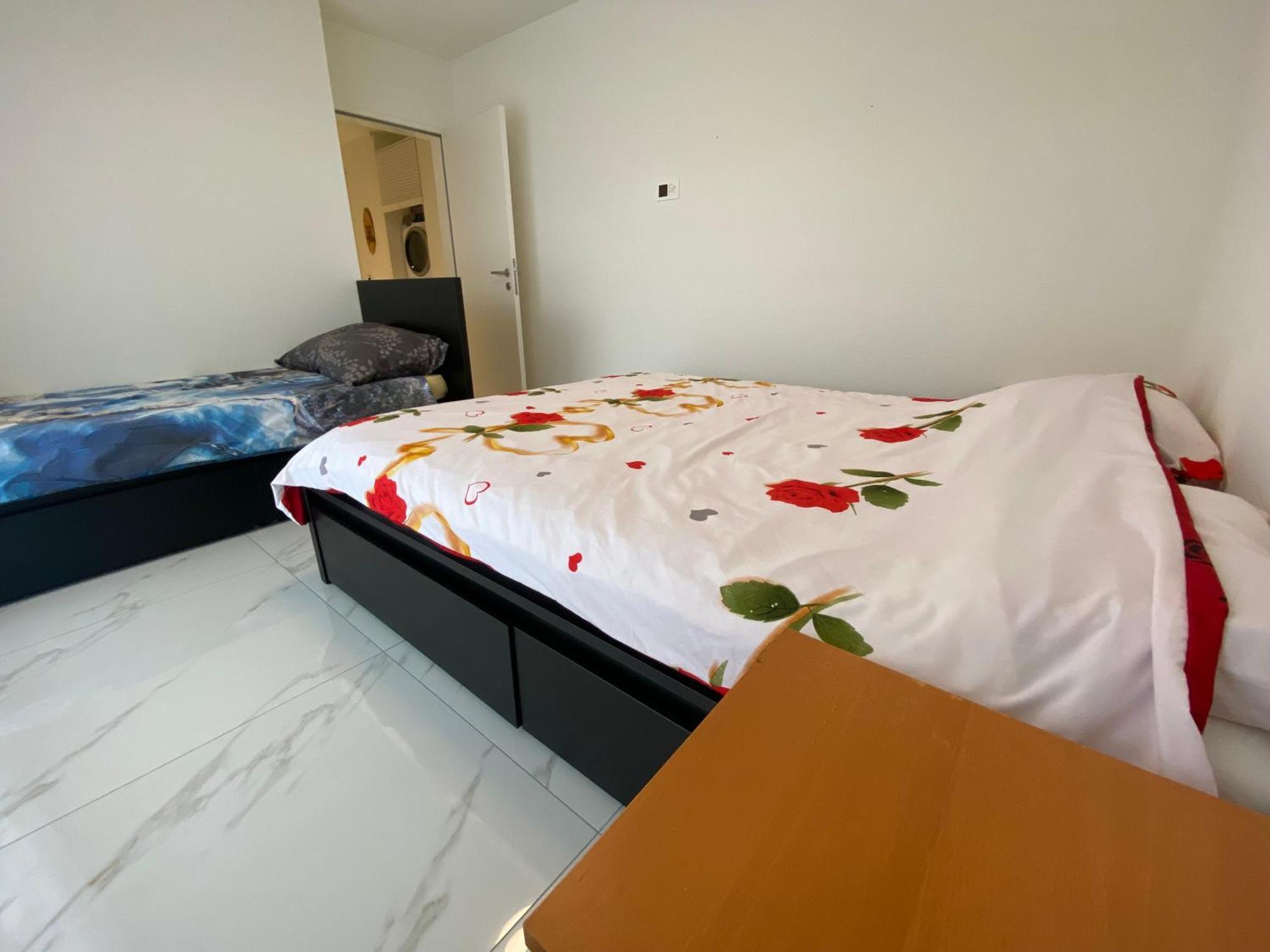 Attika Loft Wohnung 3.5 Zi. 110M2 Neu Bau Obergosgen Eksteriør billede